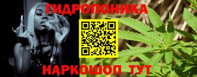 гашик Бузулук