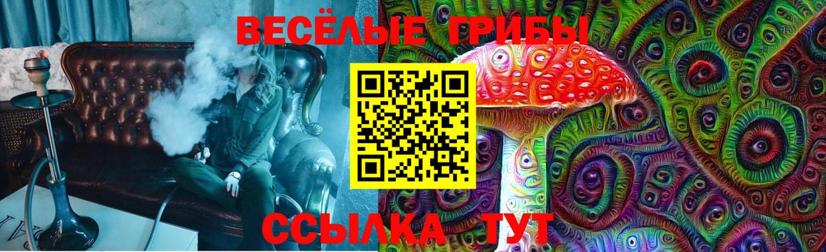 Галлюциногенные грибы Cubensis  Когалым  Псилоцибиновые грибы мухоморы 