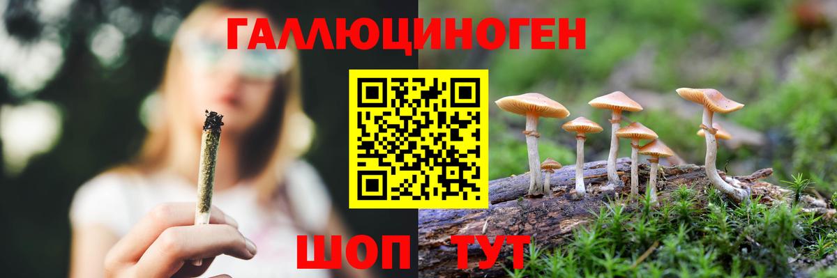 хочу   Вход с VPN  Когалым  Псилоцибиновые грибы мухоморы 